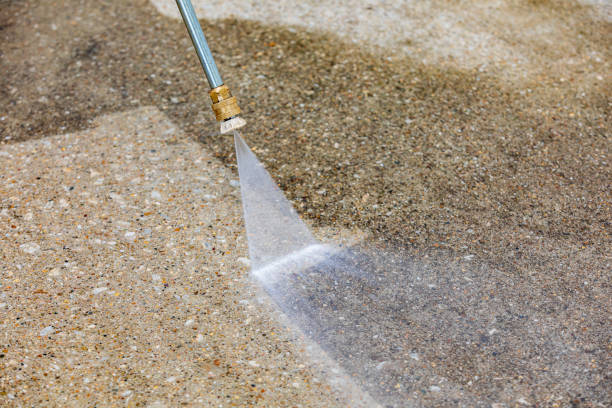 Best Roof Washing  in Remgton, IN